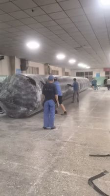 Diametro 30-5000 mm Airbag di lancio per navi per una massima efficienza nell'installazione di rotolamento o sollevamento